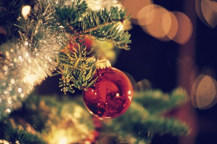 4 Things You Need To Know About Christmas Tree