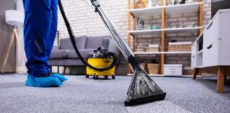 Carpet Cleaner for Your Home