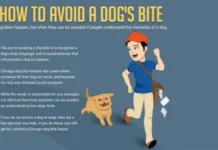 How to Avoid Dog Bites
