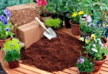 Everything You Need To Know About Coco Peat Grow Bags: An Affordable Plant Container
