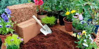 Everything You Need To Know About Coco Peat Grow Bags: An Affordable Plant Container