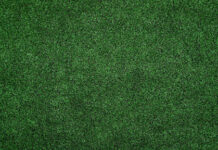 How Cost Effective Is Installing Artificial Grass